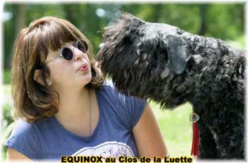  Bouvier des Flandres expositions tous primés